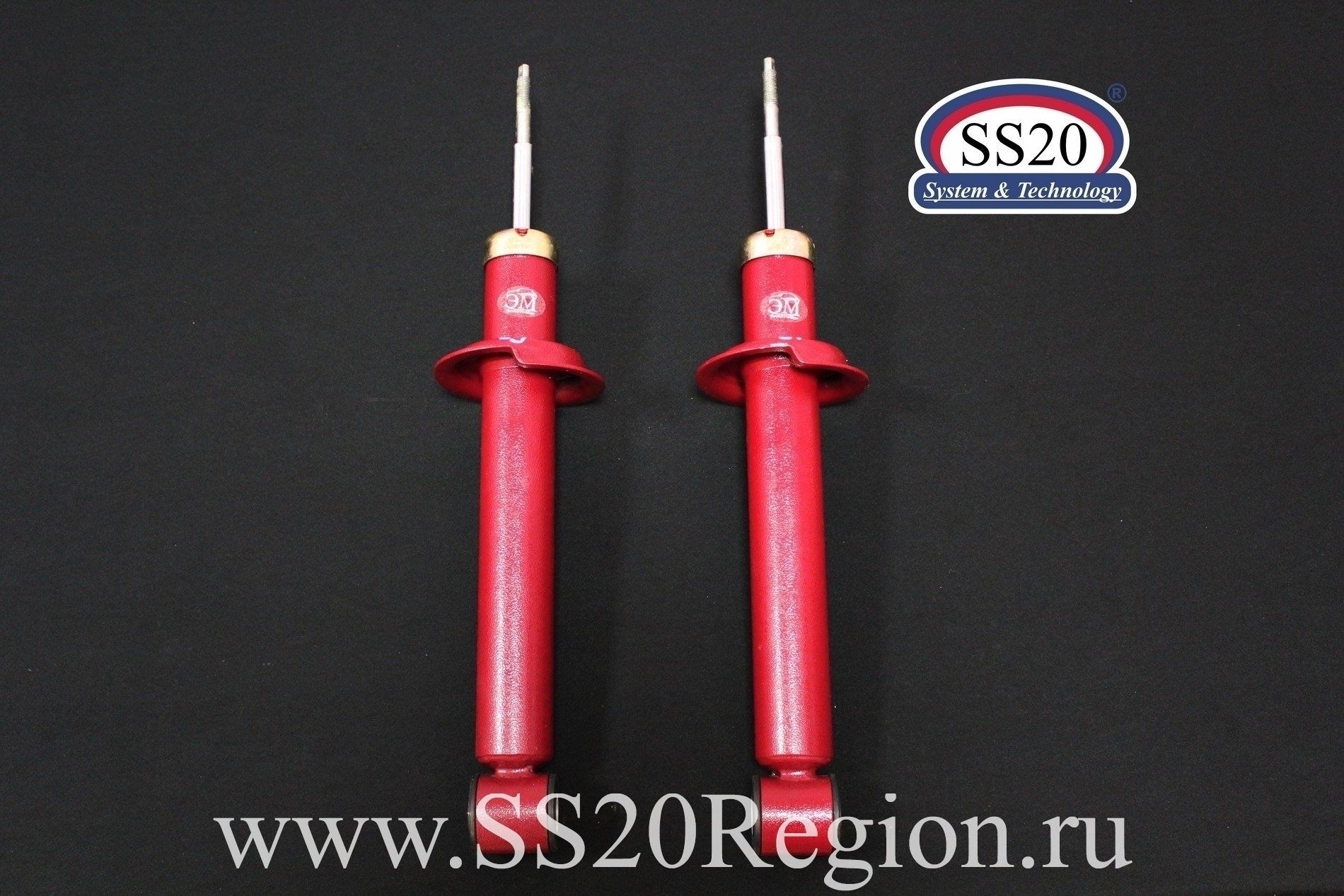 SS20 ЭЛАСТОМАГ- Амортизаторы задние для ВАЗ 2110-2112 | SS20REGION.RU