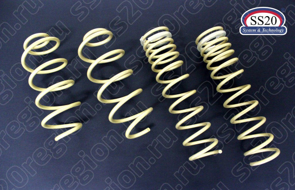 Комплект пружин SS20 GOLD Progressive 8 кл. мотор (без занижения, переменный шаг) для DATSUN ON-DO MI-DO
