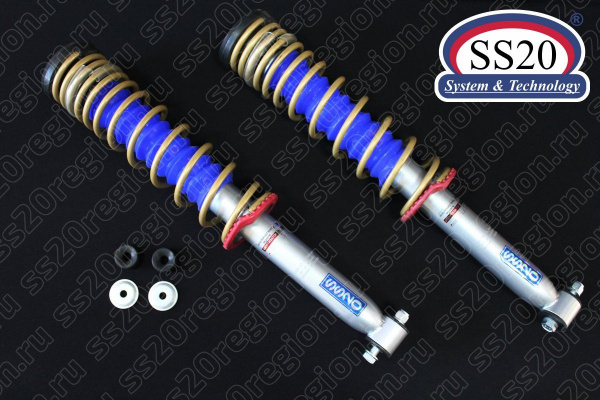 Модули задней подвески SS20 ШОССЕ Повышенной надёжности с опорой АСОМИ пружиной SS20 Gold Progressive (без занижения) для ЛАДА КАЛИНА 2