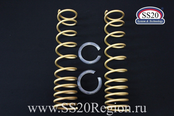 Пружины задних амортизаторов SS20 GOLD Progressive (без занижения, переменный шаг) для DATSUN